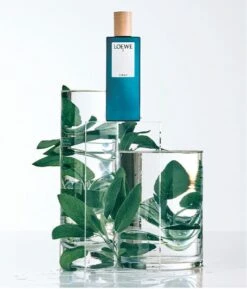 Loewe - Herenparfum - 7 Cobalt - Eau De Parfum 100 Ml -Armani Parfum Winkel 1026x1200 2