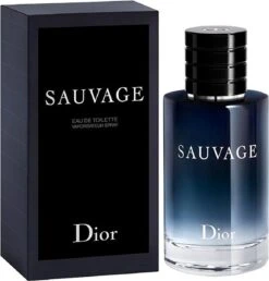 Dior Sauvage 60 Ml - Eau De Toilette - Herenparfum -Armani Parfum Winkel 1151x1200 5