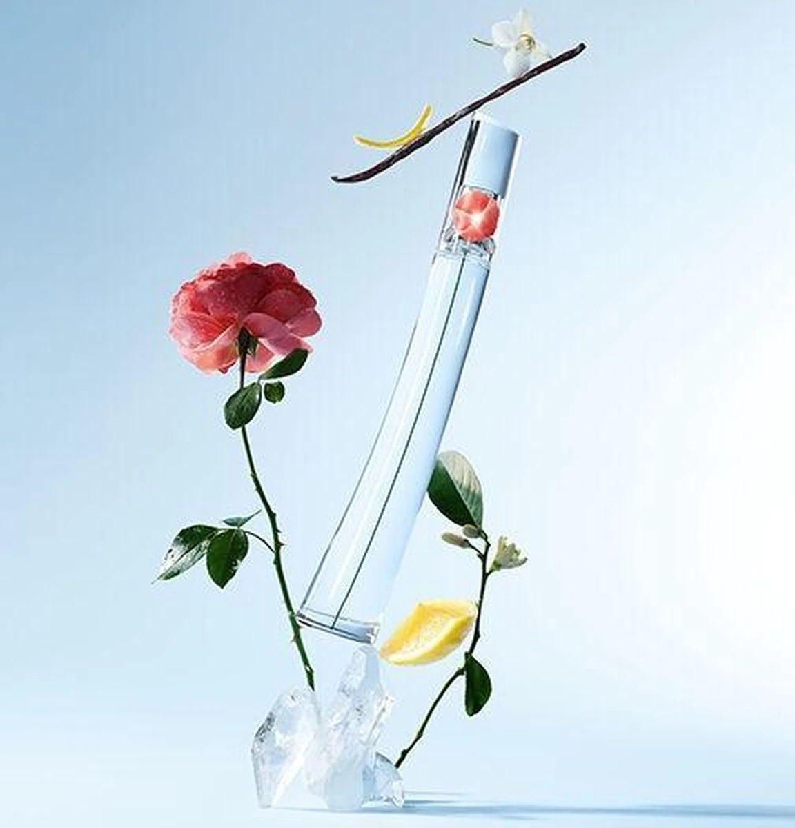 KENZO Flower by Kenzo - Vrouwen - 50 ml - Eau de Toilette KENZO Flower By Kenzo - Vrouwen - 50 Ml - Eau De Toilette -Armani Parfum Winkel 1152x1200 1