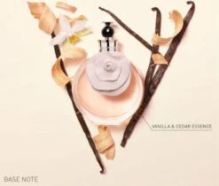 Valentino Valentina Eau De Parfum 50ml -Armani Parfum Winkel 1200x1019