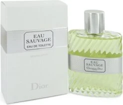 Dior Eau Sauvage 100 Ml - Eau De Toilette - Herenparfum -Armani Parfum Winkel 1200x1021