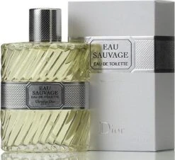 Dior Eau Sauvage 100 Ml - Eau De Toilette - Herenparfum -Armani Parfum Winkel 1200x1098 1