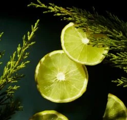 RITUALS Life Is A Journey - Refill Homme Car Perfume - 6 Ml -Armani Parfum Winkel 1200x1136 5