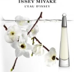 Issey Miyake L'Eau D'Issey 25 Ml - Eau De Toilette - Damesparfum -Armani Parfum Winkel 1200x1168 1