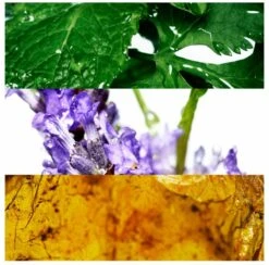 Davidoff Cool Water 75 Ml - Eau De Toilette - Herenparfum 4 Davidoff Cool Water 75 Ml - Eau De Toilette - Herenparfum -Armani Parfum Winkel 1200x1186 3