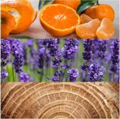 Calvin Klein Obsession 125 Ml - Eau De Toilette - Herenparfum -Armani Parfum Winkel 1200x1194 3