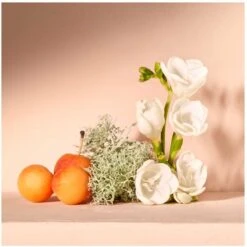 Chloé Chloé Nomade 30 Ml - Eau De Parfum - Damesparfum -Armani Parfum Winkel 1200x1198 3