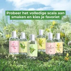 Yves Rocher - LA COLLECTION Kamperfoelie Eau De Toilette - Eau Fraîche - Damesparfum - 100 Ml -Armani Parfum Winkel 1200x1200 118