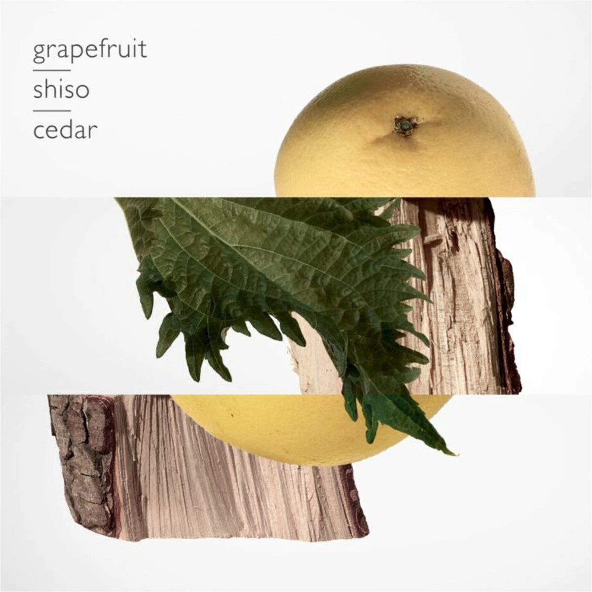 Hermès Terre d'Hermès 75 ml - Eau de Parfum - Herenparfum Hermès Terre D'Hermès 75 Ml - Eau De Parfum - Herenparfum -Armani Parfum Winkel 1200x1200 311