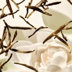 RITUALS Life Is A Journey - Karma Car Perfume - 6 G -Armani Parfum Winkel 1200x1200 510