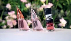 Bruno Banani Absolute Woman Eau De Toilette 40 Ml 6 Bruno Banani Absolute Woman Eau De Toilette 40 Ml -Armani Parfum Winkel 1200x699 1