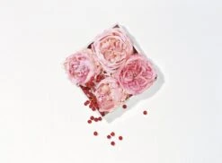 Lancôme Miracle 30 Ml - Eau De Parfum - Damesparfum -Armani Parfum Winkel 1200x886