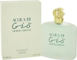 Giorgio Armani Acqua Di Giò - 100ml - Eau De Toilette -Armani Parfum Winkel 1200x937