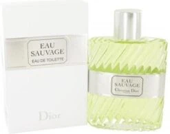 Dior Eau Sauvage 100 Ml - Eau De Toilette - Herenparfum -Armani Parfum Winkel 1200x945 1