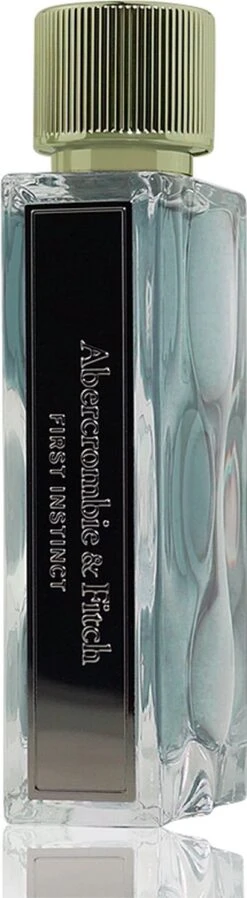 Abercrombie & Fitch First Instinct 100 Ml - Eau De Toilette - Herenparfum -Armani Parfum Winkel 330x1200 1