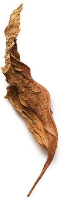 Giorgio Armani Acqua Di Gio Profumo 125 Ml - Eau De Parfum - Herenparfum -Armani Parfum Winkel 365x1200 2