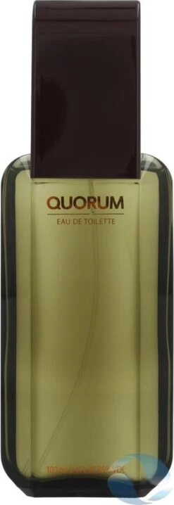 Puig Quorum Homme Edt Vapo M - Herenparfum -Armani Parfum Winkel 413x1200 2