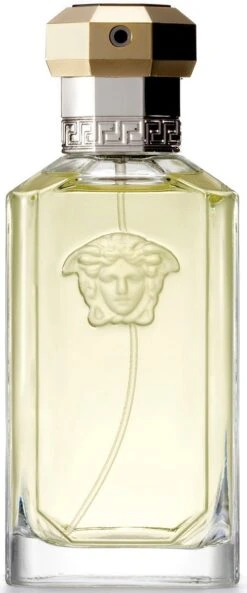 Versace The Dreamer 100 Ml - Eau De Toilette - Herenparfum