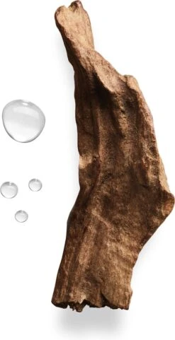 Giorgio Armani Acqua Di Gio Absolu 75ml - Eau De Parfum - Herenparfum -Armani Parfum Winkel 616x1200 1