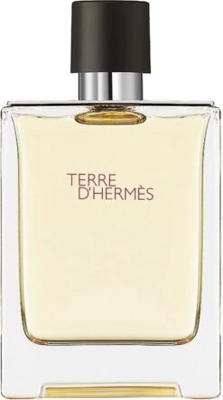 Hermès - Terre D'Hermes - 200 Ml - Eau De Toilette -Armani Parfum Winkel 667x1200 3