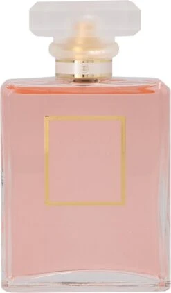 Chanel Coco Mademoiselle 100 Ml - Eau De Parfum - Damesparfum -Armani Parfum Winkel 700x1200