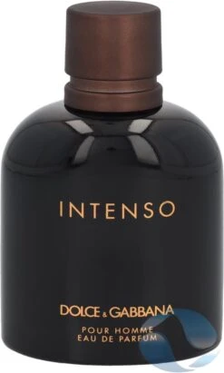 Dolce & Gabbana - Intenso Pour Homme - Eau De Parfum - 125ML -Armani Parfum Winkel 721x1200 1