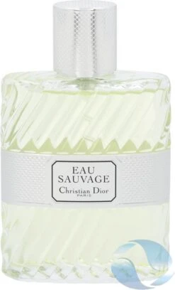 Dior Eau Sauvage 100 Ml - Eau De Toilette - Herenparfum -Armani Parfum Winkel 726x1200