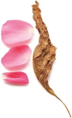 Giorgio Armani Sì Intense 100 Ml - Eau De Parfum - Damesparfum -Armani Parfum Winkel 729x1200