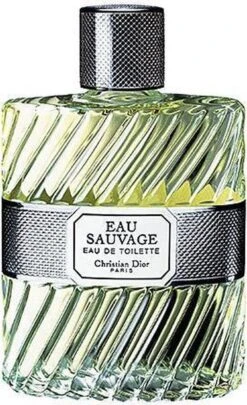 Dior Eau Sauvage 100 Ml - Eau De Toilette - Herenparfum -Armani Parfum Winkel 731x1200
