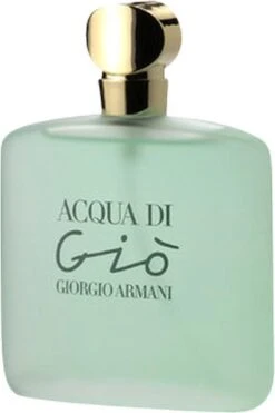 Giorgio Armani Acqua Di Giò - 100ml - Eau De Toilette -Armani Parfum Winkel 800x1200