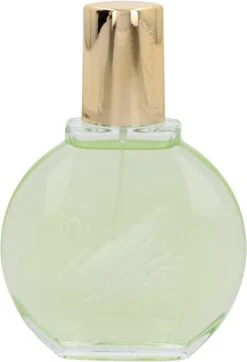 Vanderbilt - Jardin A New York - Eau De Parfum - 100ML - Damesparfum 5 Vanderbilt - Jardin A New York - Eau De Parfum - 100ML - Damesparfum -Armani Parfum Winkel 818x1200