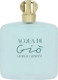 Giorgio Armani Acqua Di Giò - 100ml - Eau De Toilette -Armani Parfum Winkel 872x1200