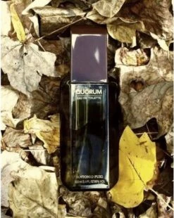 Puig Quorum Homme Edt Vapo M - Herenparfum -Armani Parfum Winkel 955x1200 3