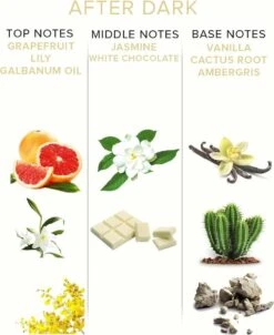 After Dark Feromonen Parfum - Vrouw/Man -Armani Parfum Winkel 980x1200 1